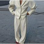 חליפת משי שני חלקים מחויטת מכנסיים ובלייזר - מורל